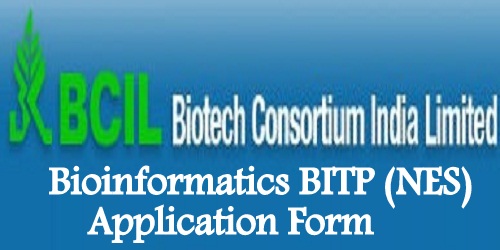 Bioinformatics BITP (NES) Application Form