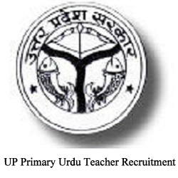 UP Primary Urdu Teacher Recruitment 2024