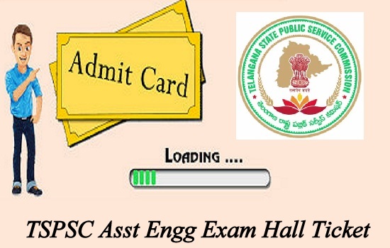 TSPSC Asst Engg Exam Hall Ticket 2024