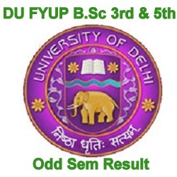 DU FYUP Result 2018