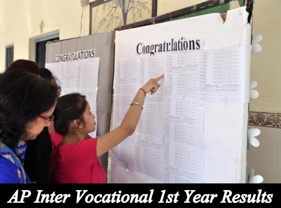 AP Inter Vocational 1st Year Results 2023