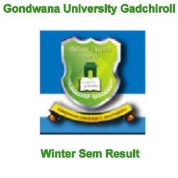 Gondwana University UG PG odd sem result