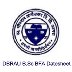 DBRAU B.Sc BFA Datesheet 2024