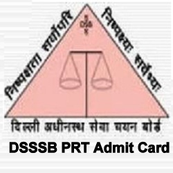DSSSB PRT Exam Admit Card 2023