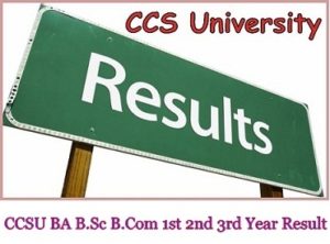 CCSU Result 2024 ~BA B.Sc B.Com 1st 2nd 3rd Year {Reg/ Back/ Pvt}