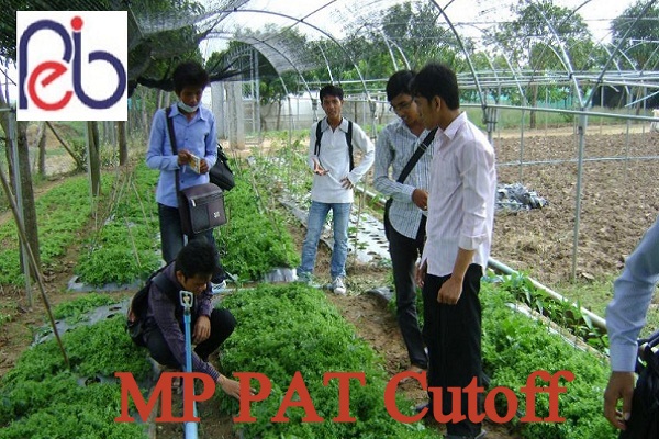 MP PAT Cutoff