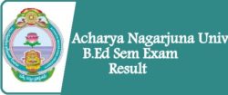 ANU B.Ed Results 2024 Nagarjuna University BED 2/4 Sem Marksheet