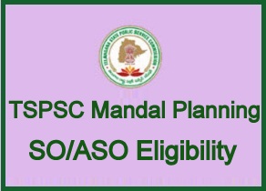 TSPSC Mandal Planning SO ASO Eligibility