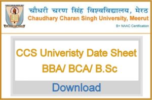 CCS University BBA BCA B.Sc {Home Science} Date Sheet 2024 ~2nd 4th 6th ...