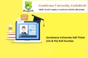 gondwana university hall ticket 2024