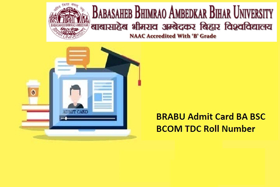 BRABU Admit Card 2024