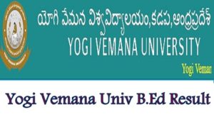 YVU B.Ed Results 2024 Yogi Vemana University BEd 2/4 Sem Mark Sheet