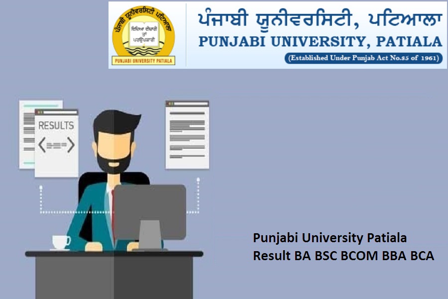 punjabi university result 2024