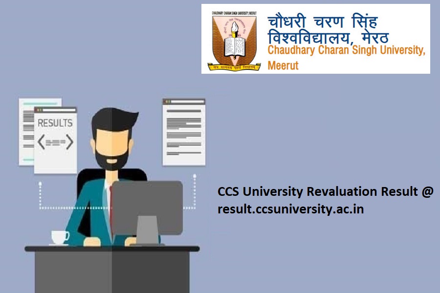 CCS University Revaluation Result 2024